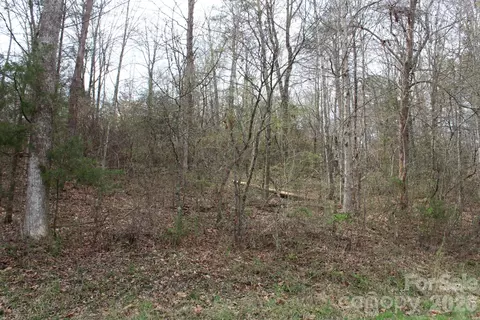 0 Vashti Rd, Hiddenite, NC 28636 photo 19