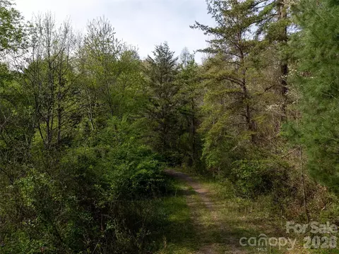 Sunnybrook Trail, Clyde, NC 28721 photo 11