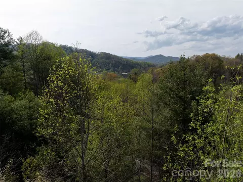Sunnybrook Trail, Clyde, NC 28721 photo 9