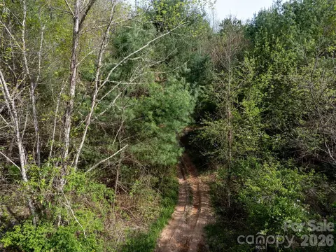Sunnybrook Trail, Clyde, NC 28721 photo 8