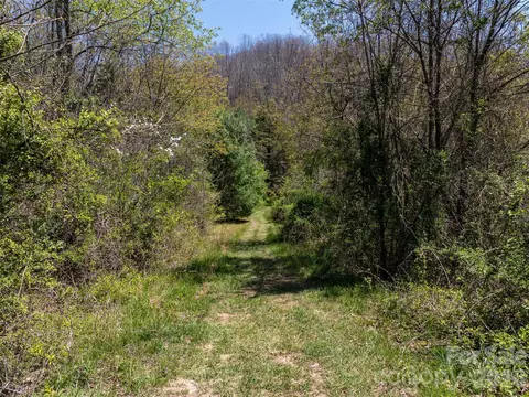 Sunnybrook Trail, Clyde, NC 28721 photo 4