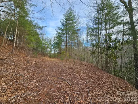 00 Wispy Willow 22t Dr #22T, Waynesville, NC 28785