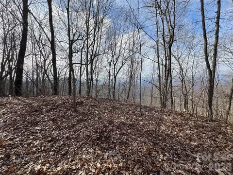 Butterfly Path, Bryson City, NC 28713
