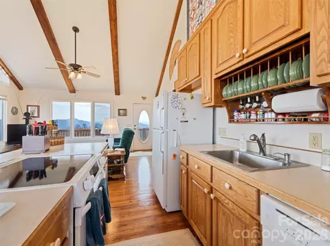 1007 Turkey Trot Rd, Clyde, NC 28721 photo 12