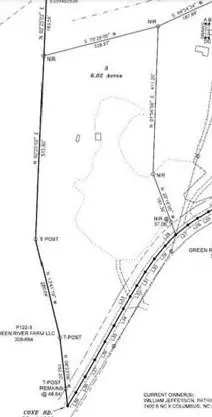 00 Coxe Lot 3 Rd #LOT 3, Tryon, NC 28782 photo 3