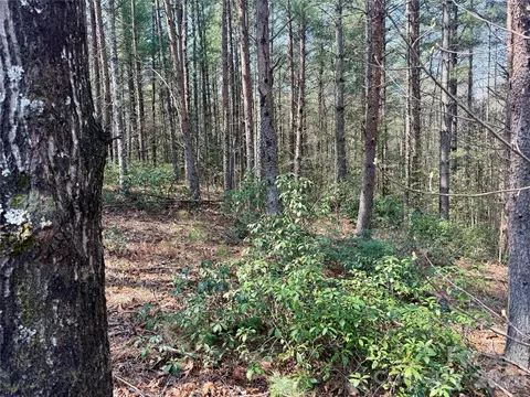 2494 Ivy Rays 41 Way #41, Nebo, NC 28761