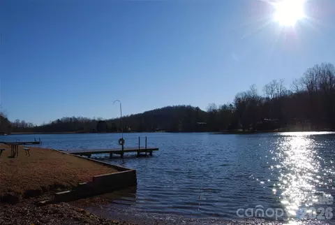 87 Pole Cat Rd, Saluda, NC 28773