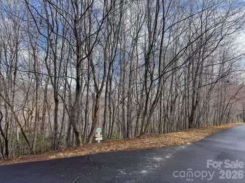 9999 Rainbow Falls Trl, Black Mountain, NC 28711