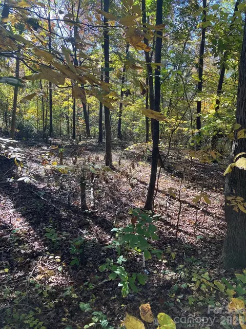 0 Poplar Lane Rd, Albemarle, NC 28001
