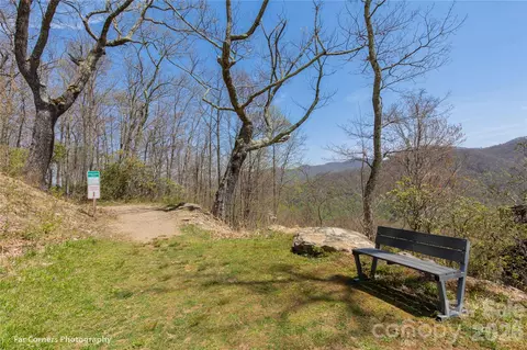 11 Chandra Ln, Clyde, NC 28721 photo 12
