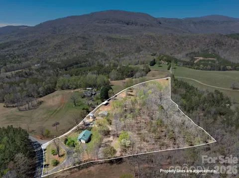 View/Area - 1434 Lake Adger Rd, Mill Spring, NC 28756 photo 6 of 6