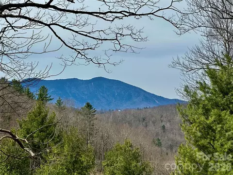 65 Blue Ridge Gem Mine Rd, Little Switzerland, NC 28777