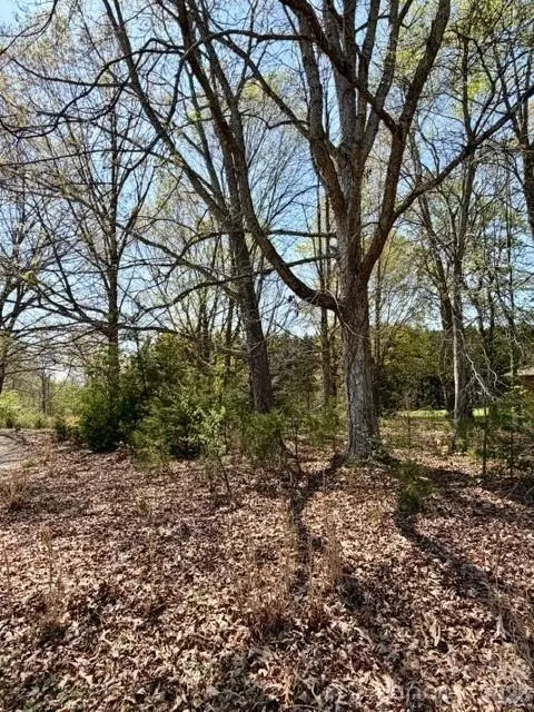 3048 Spencer Ne Rd NE, Conover, NC 28613 photo 11