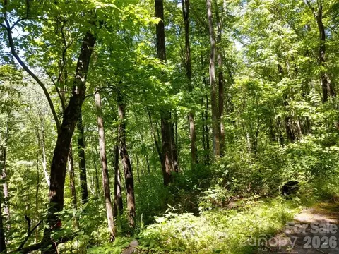 00 Hudson Valley 11 Dr #11, Waynesville, NC 28786