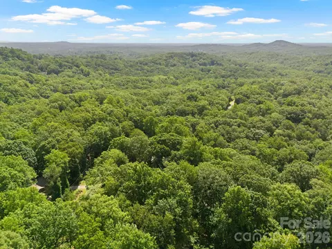 56 Cardinal Cir, Tryon, NC 28782 photo 31