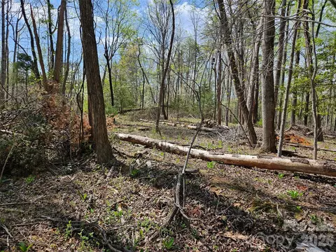 0 Whitney 57 Blvd #57, Lake Lure, NC 28746