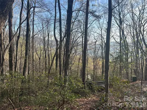 Cardinal 301 Road #301, Lake Lure, NC 28746
