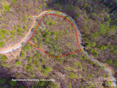 Cherry 196 Hill #196, Mill Spring, NC 28756 photo 12