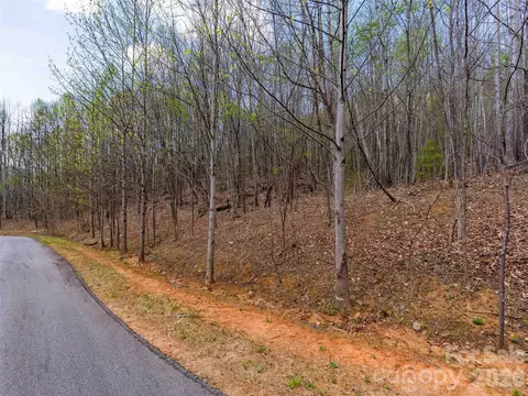 Cherry 196 Hill #196, Mill Spring, NC 28756 photo 11