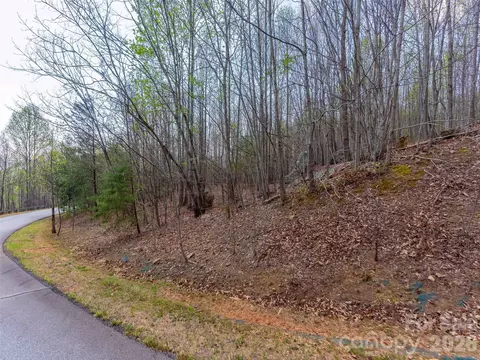 Cherry 196 Hill #196, Mill Spring, NC 28756 photo 10