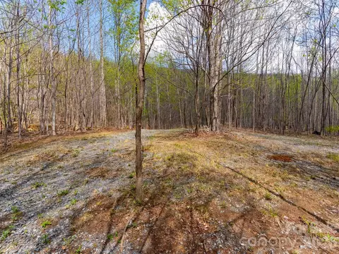 Cherry 196 Hill #196, Mill Spring, NC 28756 photo 7