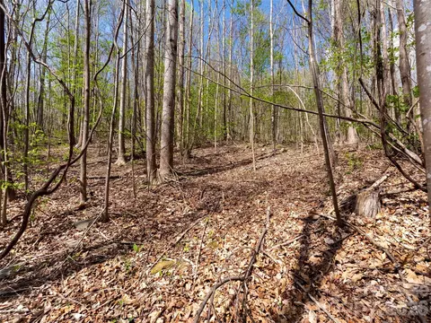 Cherry 196 Hill #196, Mill Spring, NC 28756 photo 3