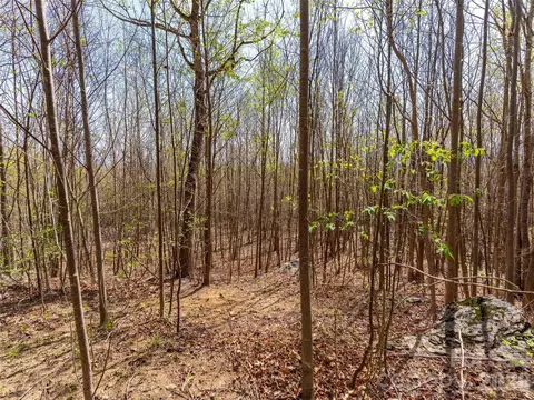 Cherry 196 Hill #196, Mill Spring, NC 28756 photo 8
