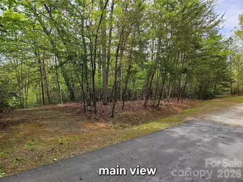 81 N Mill Ridge Rd, Nebo, NC 28761