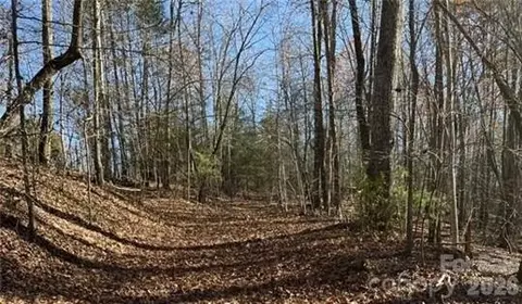 0 Twin Maple 5 Way #5, Mill Spring, NC 28756 photo 7