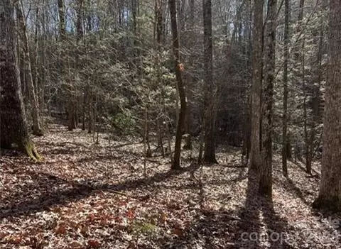 0 Twin Maple 5 Way #5, Mill Spring, NC 28756 photo 2