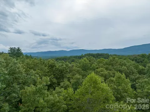 0 Twin Maple 5 Way #5, Mill Spring, NC 28756 photo 15