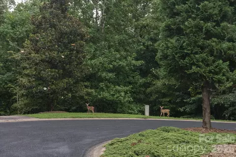 0 Twin Maple 5 Way #5, Mill Spring, NC 28756 photo 8