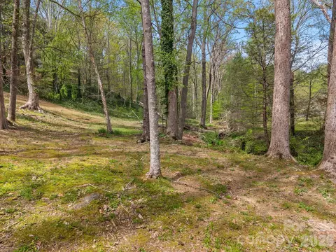 Exterior - 140 Meadowlark Dr, Tryon, NC 28782 photo 11 of 11