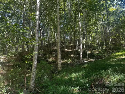 0 Clear Creek Trl, Lake Lure, NC 28746
