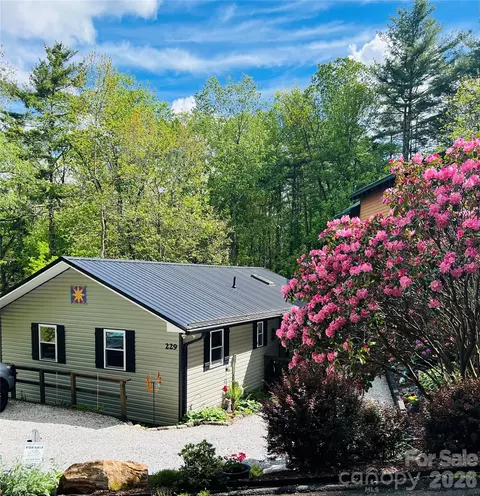 229 Spring Brook Rd, Newland, NC 28657