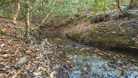 1 All Healing Springs Road #1, Taylorsville, NC 28681