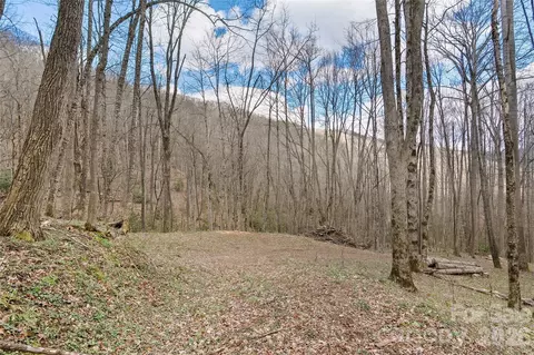 23 Forbidden Cv, Waynesville, NC 28785