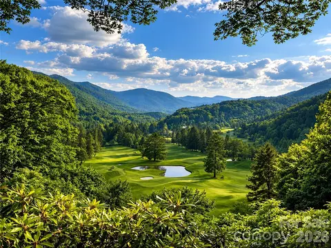 Other - 505 Middle Top Loop, Maggie Valley, NC 28751 photo 10 of 13