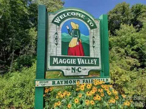 Other - 505 Middle Top Loop, Maggie Valley, NC 28751 photo 7 of 13