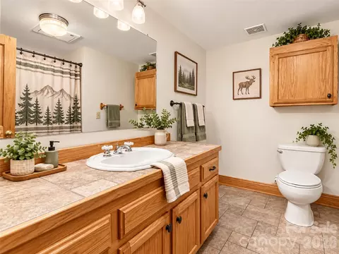 Bath - 505 Middle Top Loop, Maggie Valley, NC 28751 photo 1 of 2