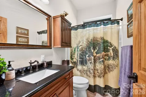 Bath - 80 E Valley View Dr, Marion, NC 28752 photo 6 of 7