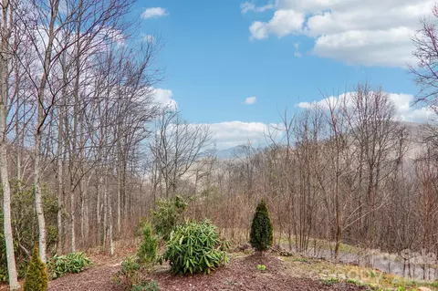 Other - 14 Chandra Ln, Clyde, NC 28721 photo 10 of 13