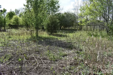 00 Malden Ct, Crouse, NC 28033 photo 24