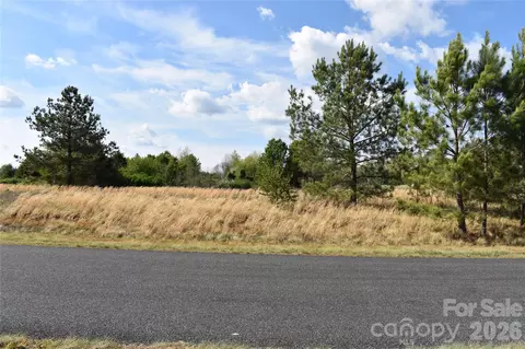 00 Malden Ct, Crouse, NC 28033 photo 8