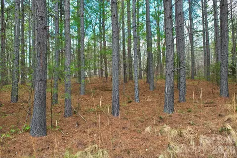 0 Clearwater 14 Pkwy #14, Rutherfordton, NC 28139