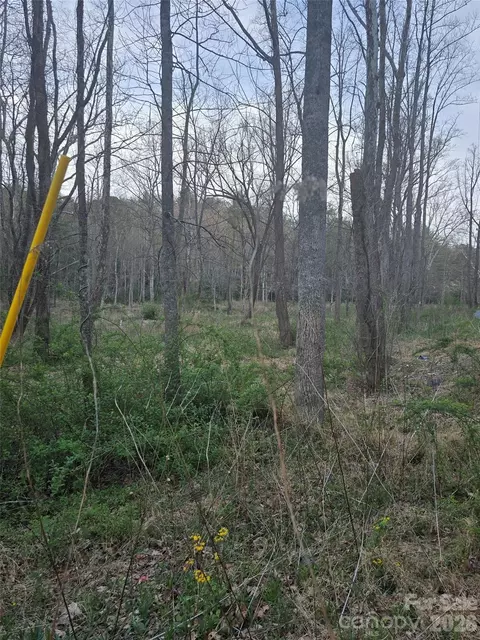 91 Miller Rd, Fairview, NC 28730 photo 3