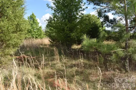 58 Malden Ct, Crouse, NC 28033 photo 11