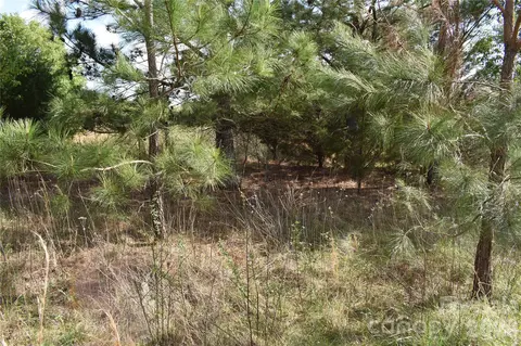 58 Malden Ct, Crouse, NC 28033 photo 10