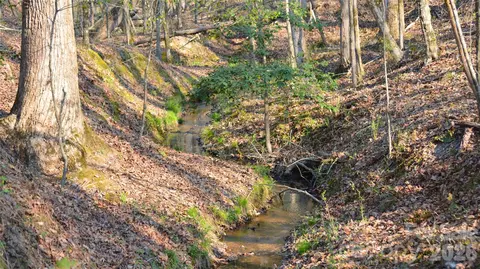 00 Peter Hawk Creek 10 Rd #10, Jonesville, SC 29353