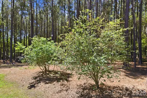 Exterior - 516 Flying Eagle Dr, Clover, SC 29710 photo 12 of 13